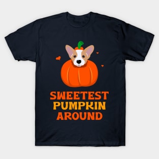 Corgi Pumpkin T-Shirt